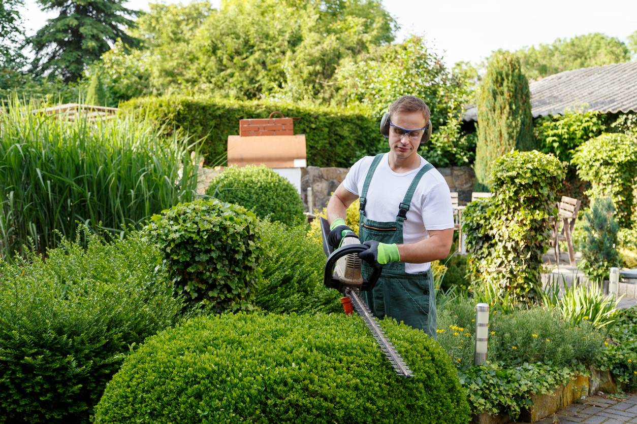 Aménager un jardin durable